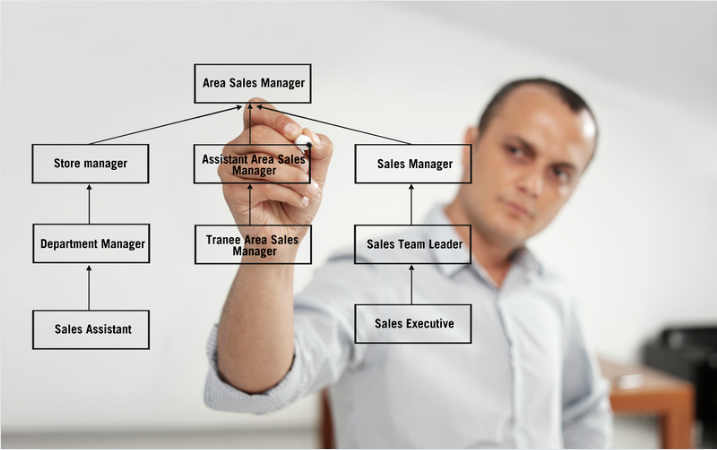 "Construire une base solide : comprendre la structure de l'entreprise pour réussir"