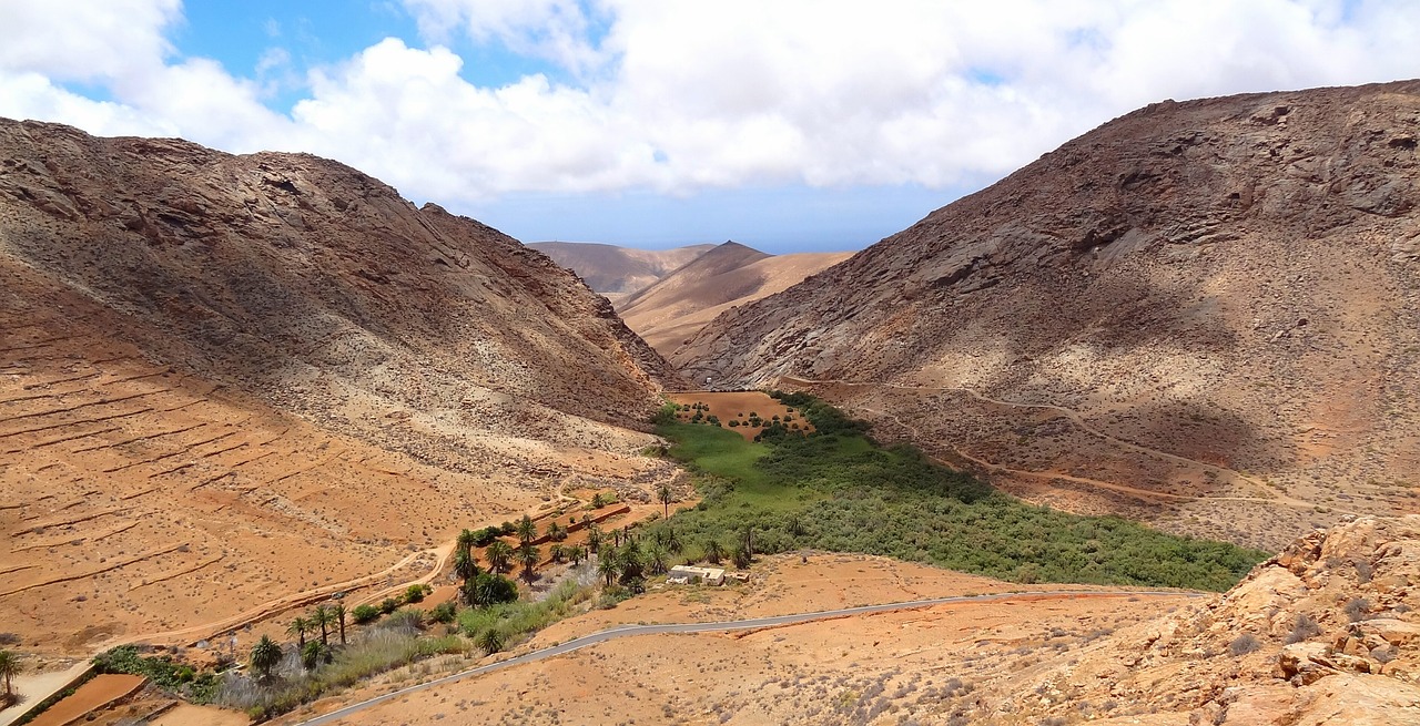 Green Oasis: Permaculture Practices for Arid Environments