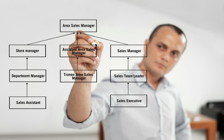 "Construire une base solide : comprendre la structure de l'entreprise pour réussir"