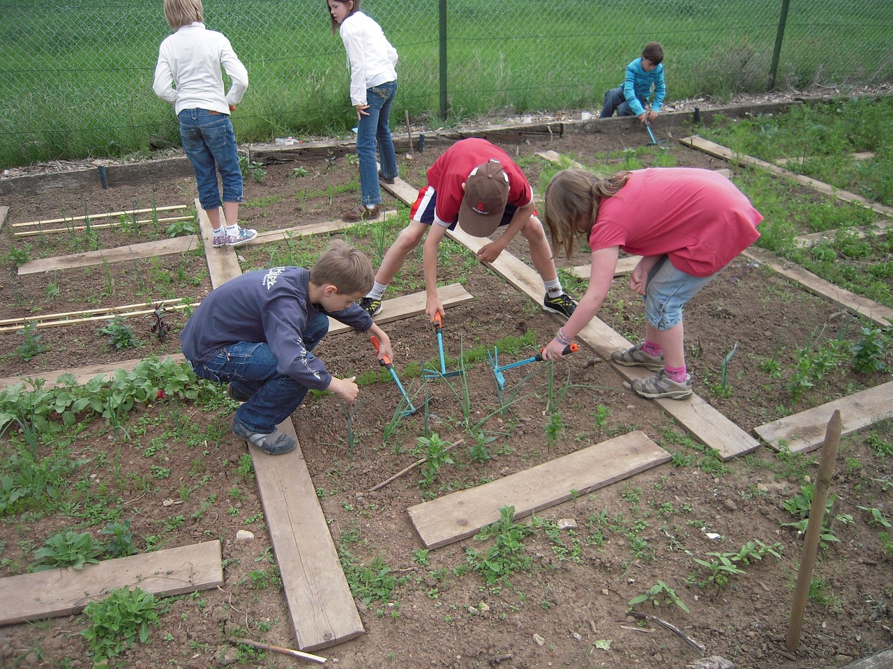 Sow to Grow: Implementing a Scholar Sustainable Garden