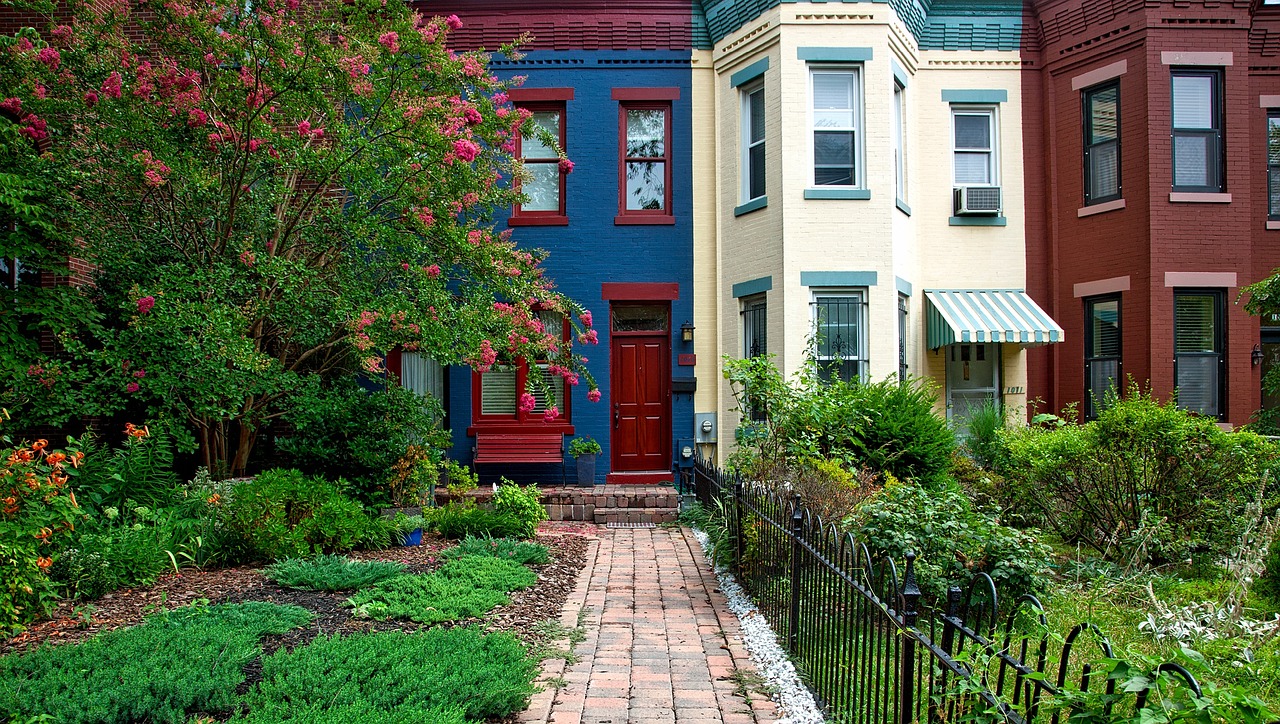 Sustainable Horticulture in Your Urban Backyard